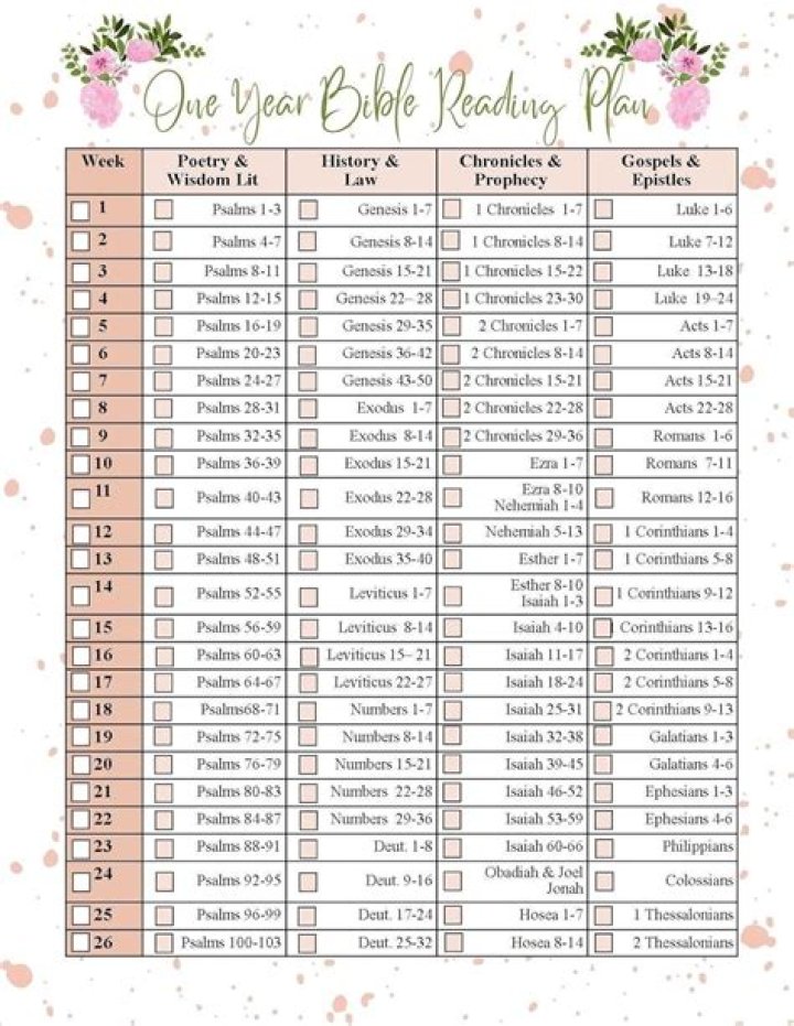 Complete 1 Year Bible Plan PDF for Spiritual Growth