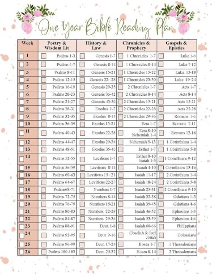 1 Year Bible Reading Plan PDF: Daily Scripture Journey