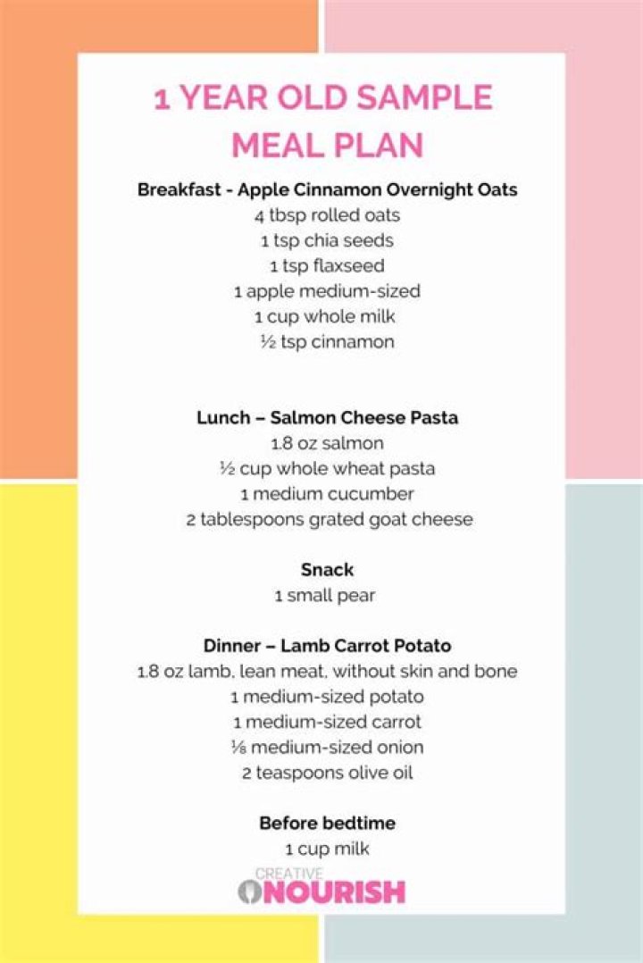 1 Year Old Meal Plan PDF: Simple & Healthy Toddler Meals for 1-Year-Olds