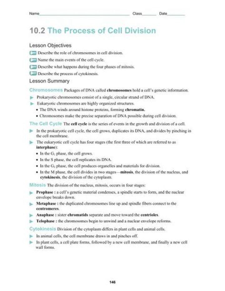 10.2 Understanding the Process of Cell Division – Answer Key PDF