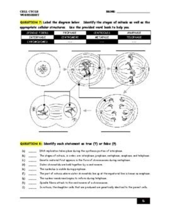 10.3 Regulating the Cell Cycle Answer Key PDF: Step-by-Step Guide