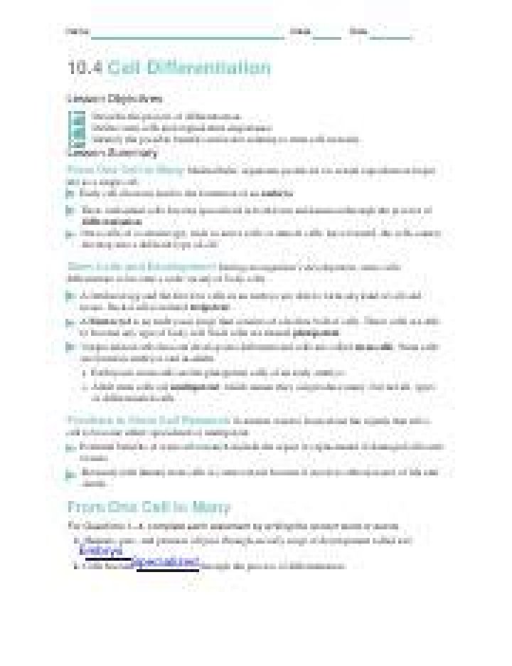 10.4 Cell Differentiation Worksheet Answer Key PDF Download