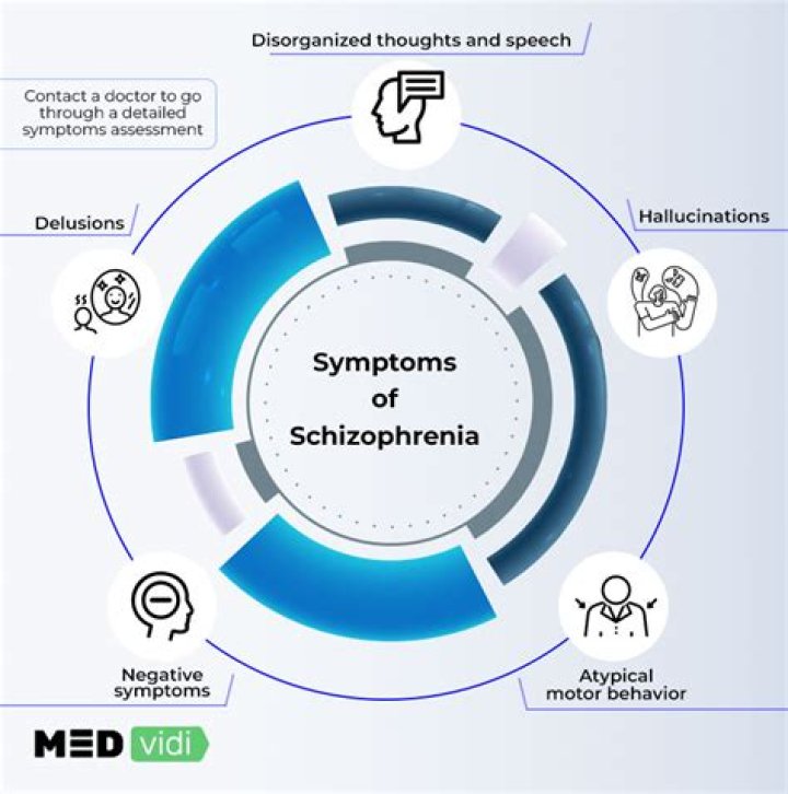 10 Causes of Schizophrenia Facty Health