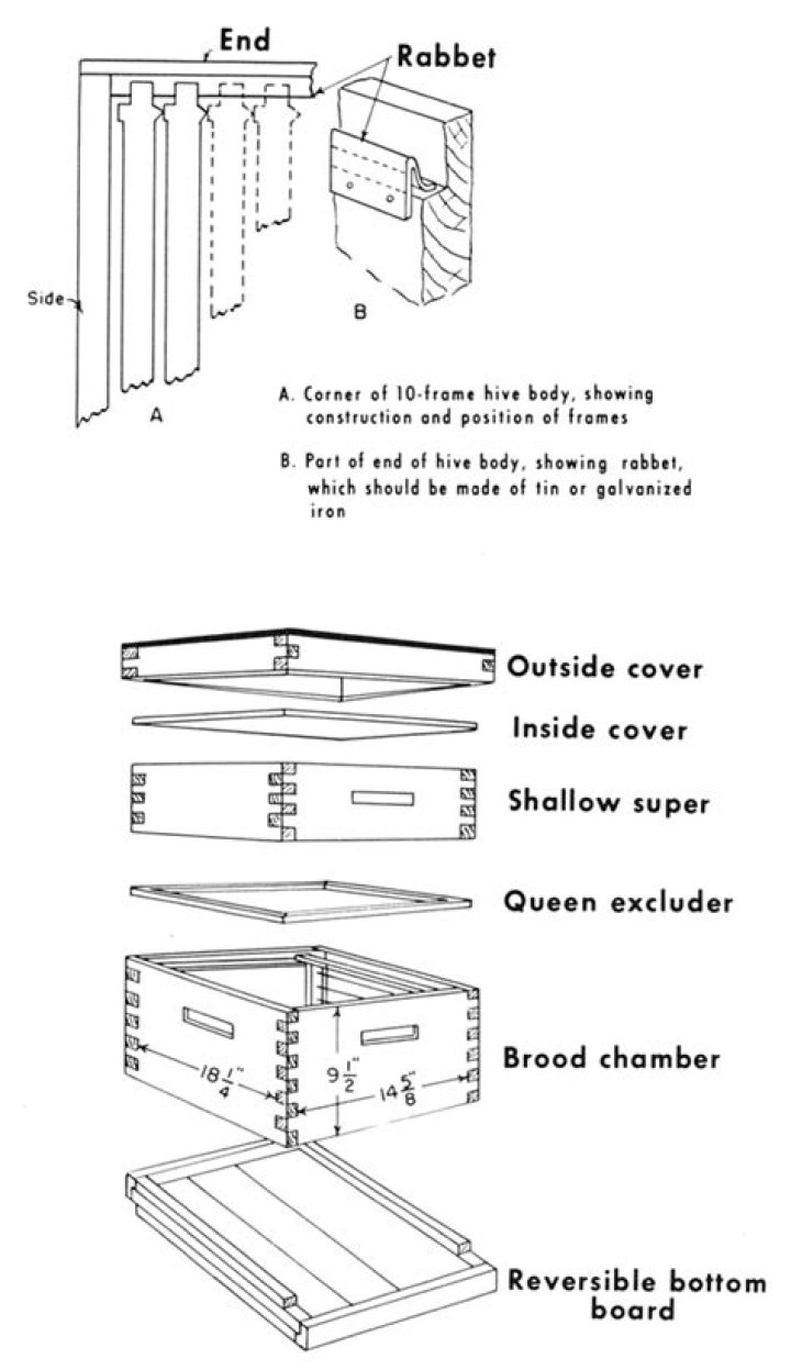 10-Frame Beehive Plans PDF – Easy DIY Beekeeping Guide