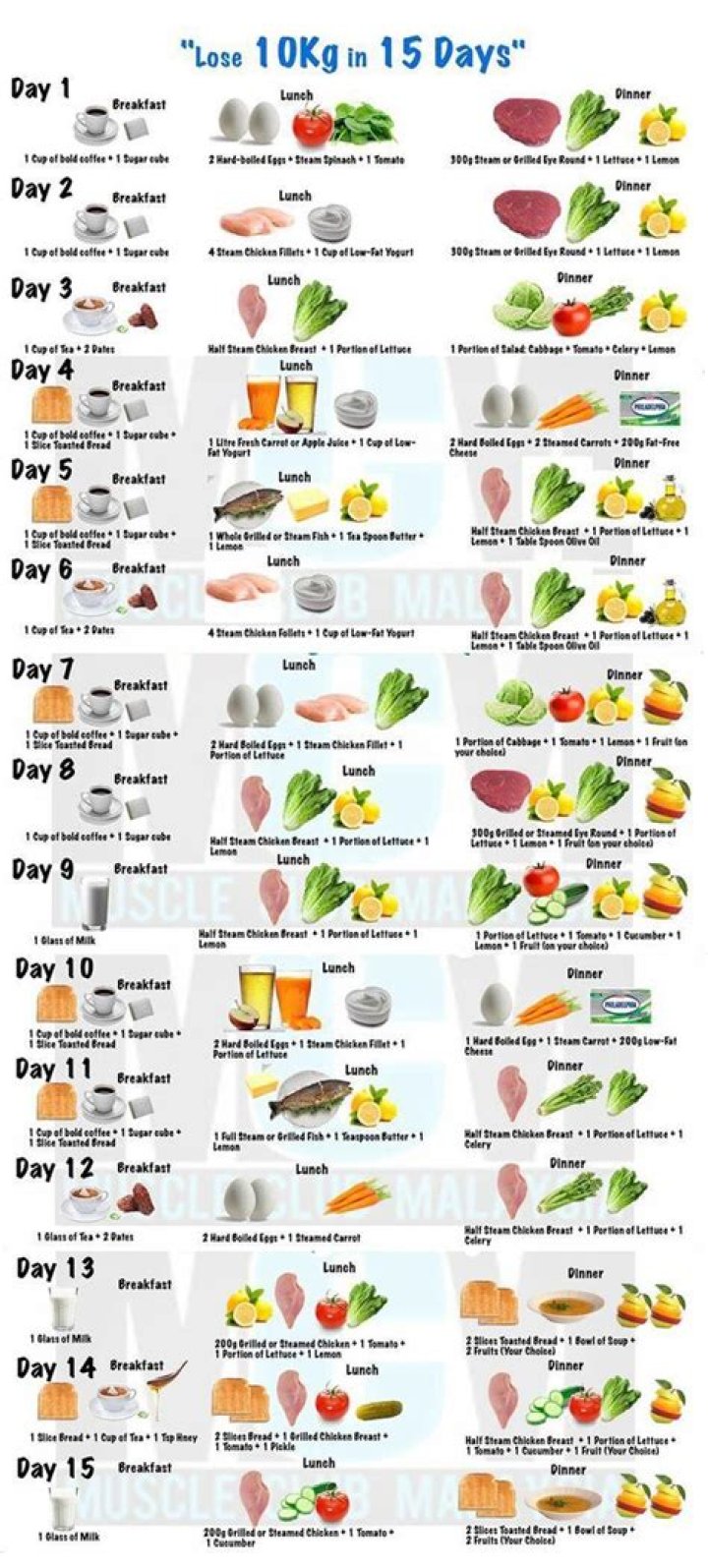 10 kg Weight Loss in 15 Days: Proven Diet Plan PDF