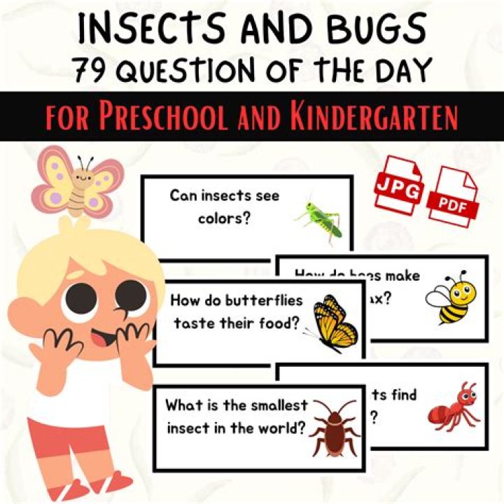 10 Essential Questions About Insects with Detailed Answers PDF