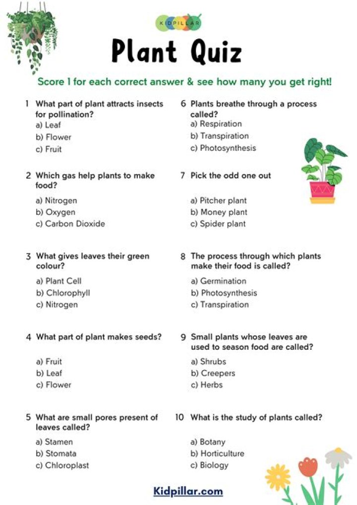 10 Essential Questions About Plants with Answers – PDF Guide