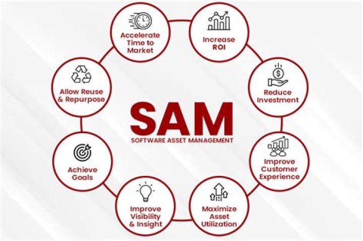 10 Steps of SAM Management PDF: Master Efficient Systems Today