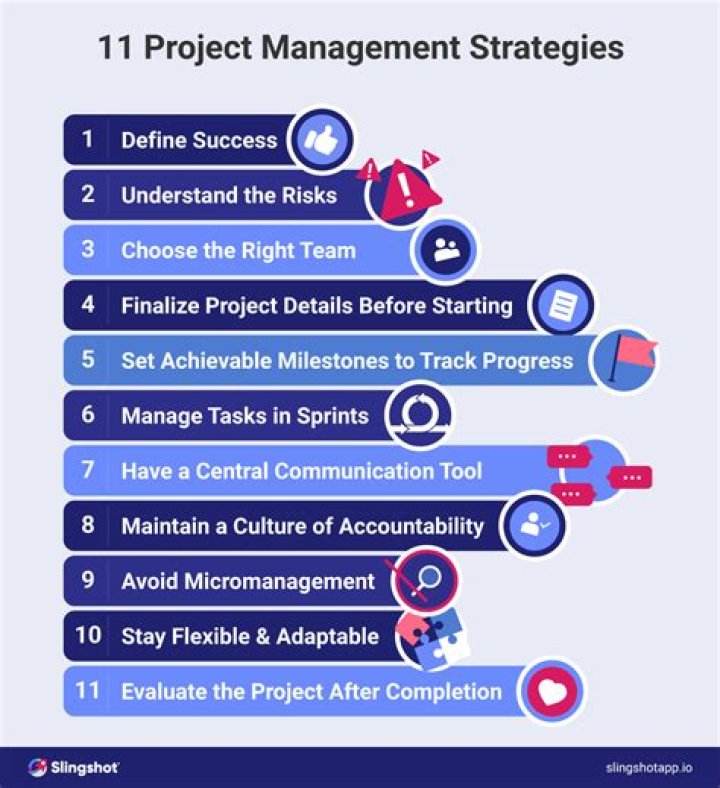 10 Steps to Successful Project Management PDF Guide