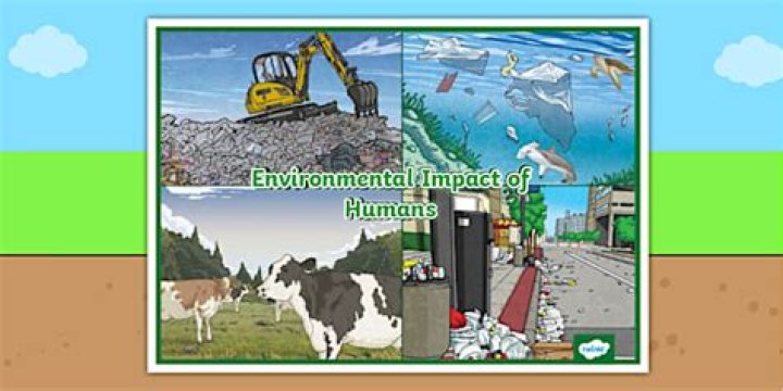 10 Ways Humans Impact the Environment: Questions and Answers PDF