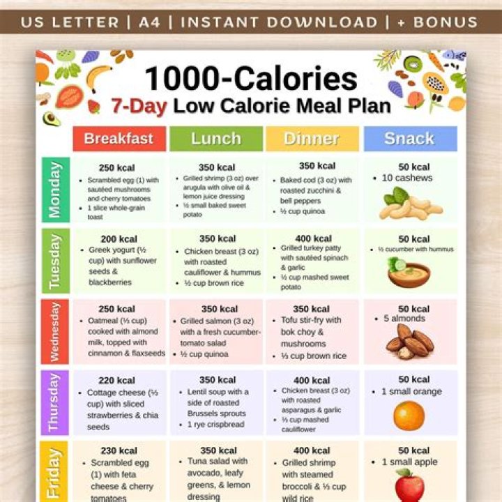 100 Days Diet Plan PDF – Lose Weight Effectively in 100 Days