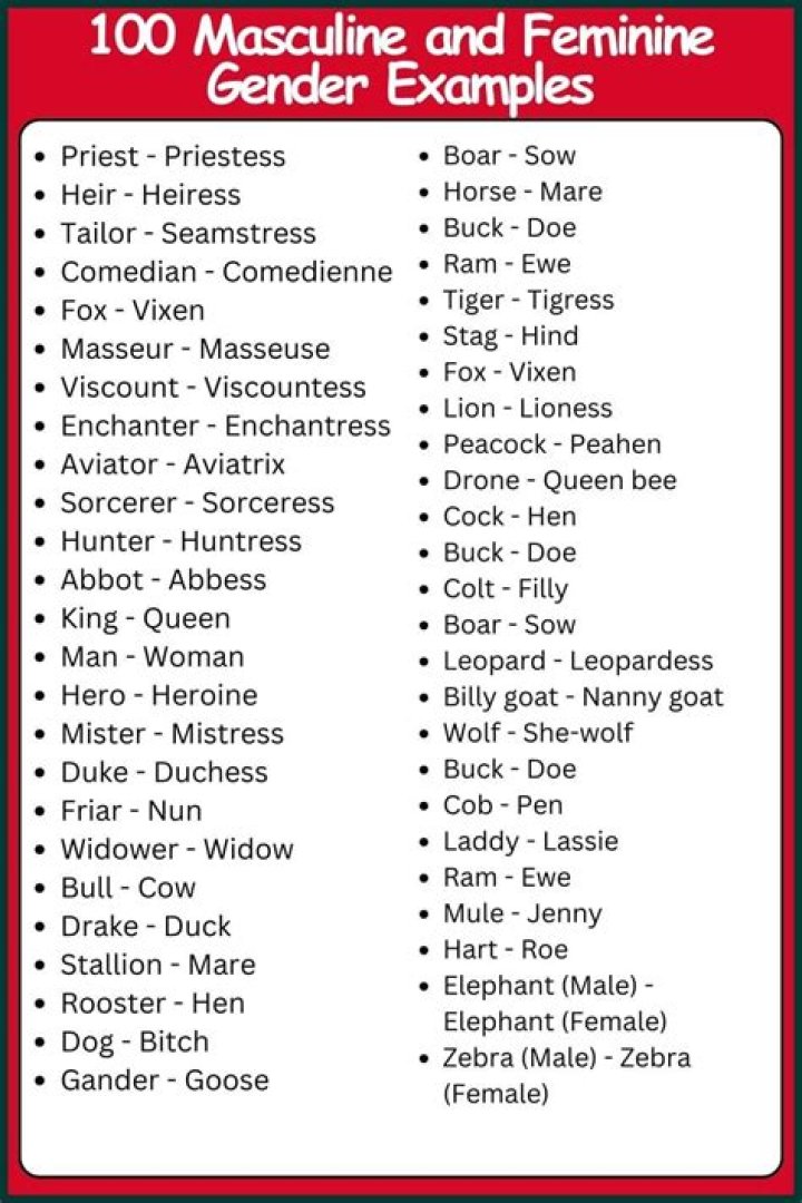 100 Genders Explained: BBC’s Comprehensive PDF List