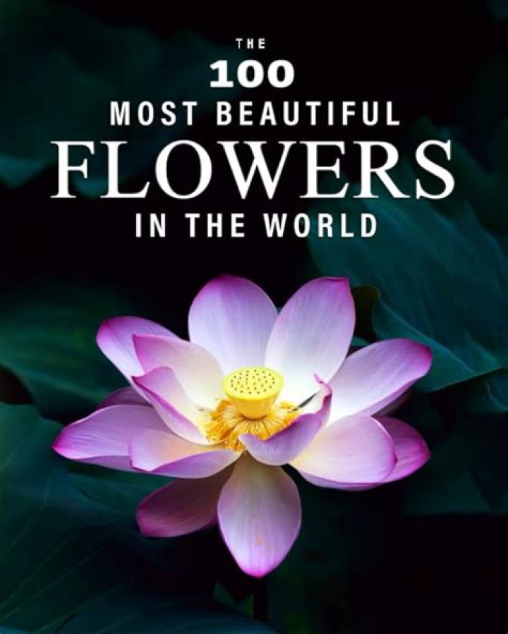100+ of Most Beautiful Floral Tattoos Ideas MyBodiArt