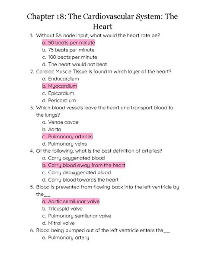 100 Questions on the Cardiovascular System: Essential PDF Guide
