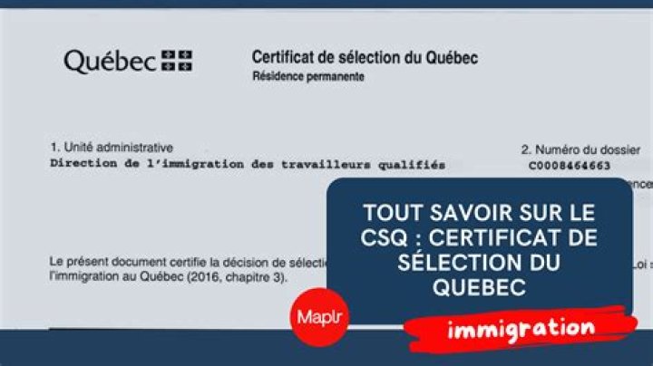 100 Questions & Réponses Complètes sur le Certificat de Prélèvement Sanguin PDF