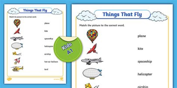 100 Things That Fly List PDF – Ultimate Guide
