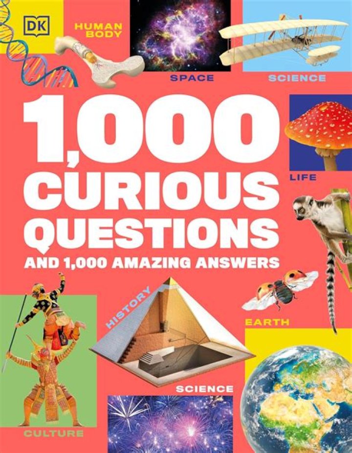1000 Questions PDF Book: Instant Knowledge at Your Fingertips