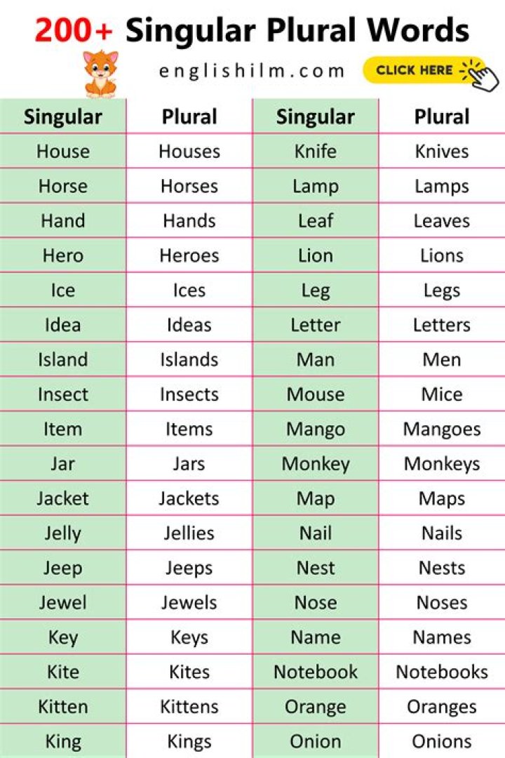 1000 Singular and Plural Words in English PDF with Answers