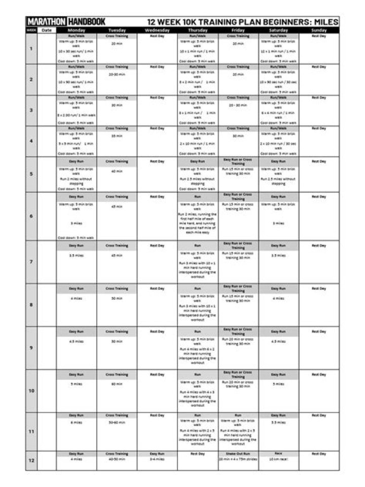 10k Swim Training Plan PDF – Build Endurance & Speed Fast