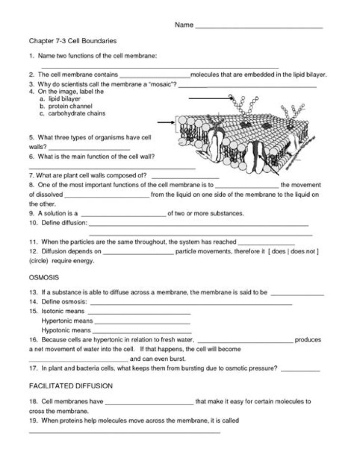 10th Grade Science Worksheets PDF – Free Printable Workbooks