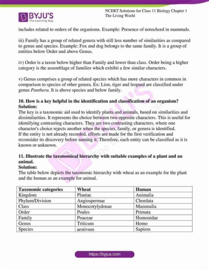 11.1 Biology Worksheet Answers PDF – Instant Download