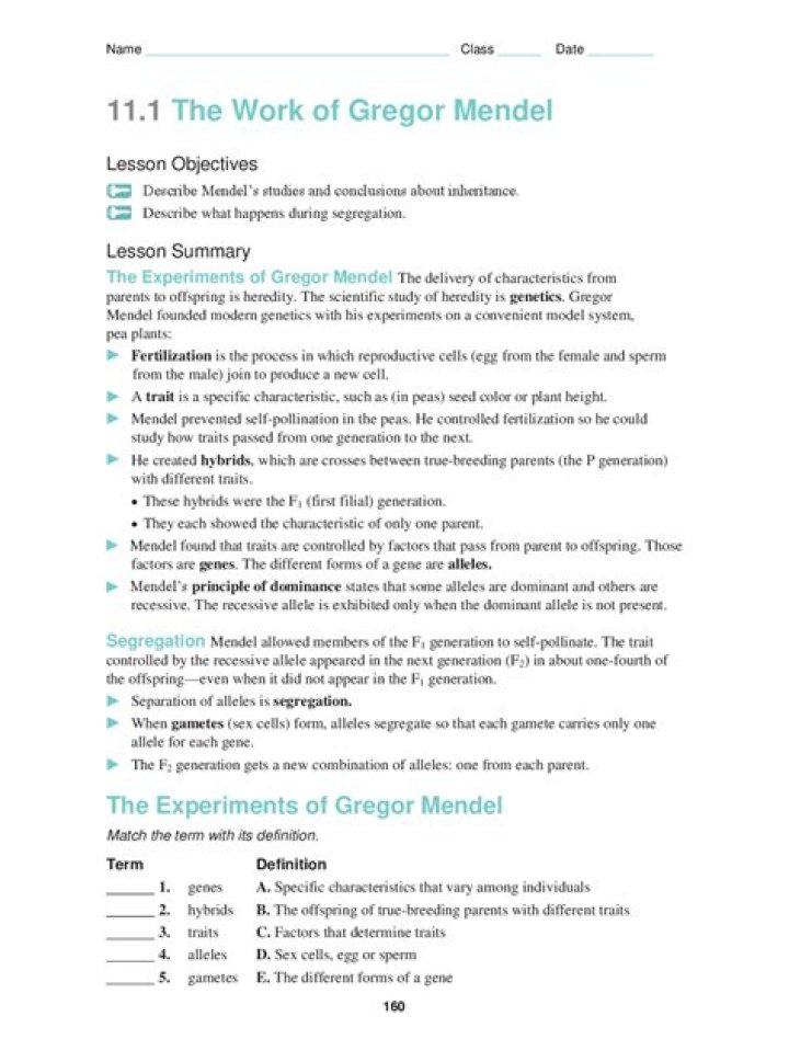 Mendel’s 11.1 Worksheet Answers PDF: Biology Study Guide & Solutions