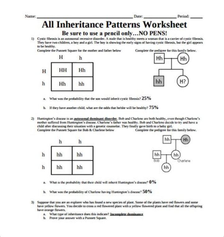 11.3 Other Patterns of Inheritance Worksheet Answer Key PDF