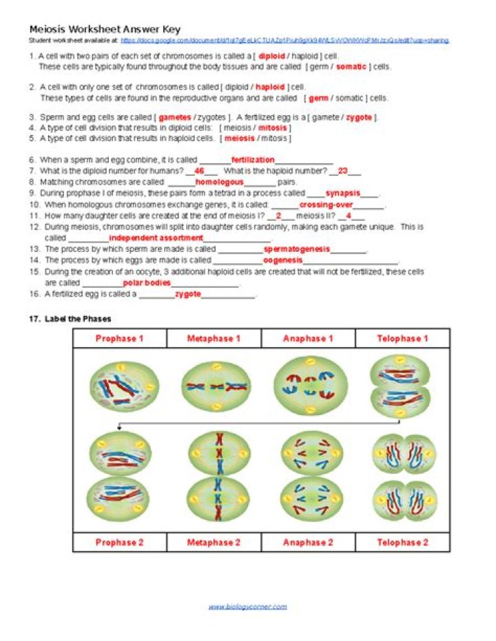 11.3 Reactions in Aqueous Solutions Worksheet Answer Key PDF