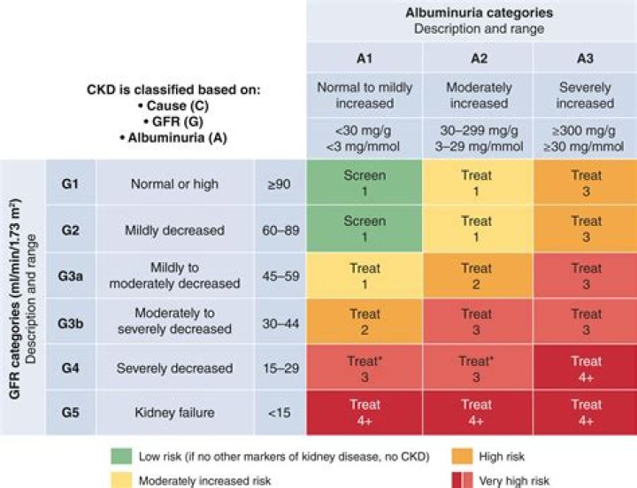 11. Chronic Kidney Disease and Risk Management 2024: Essential PDF Guide
