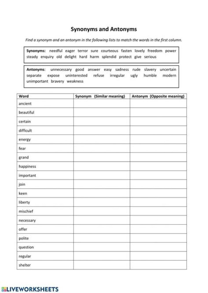 11 Plus Synonyms & Antonyms Worksheets PDF – Instant Download