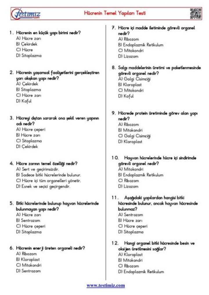 11. Sınıf Biyoloji Ünime Sistemi Test PDF İçin