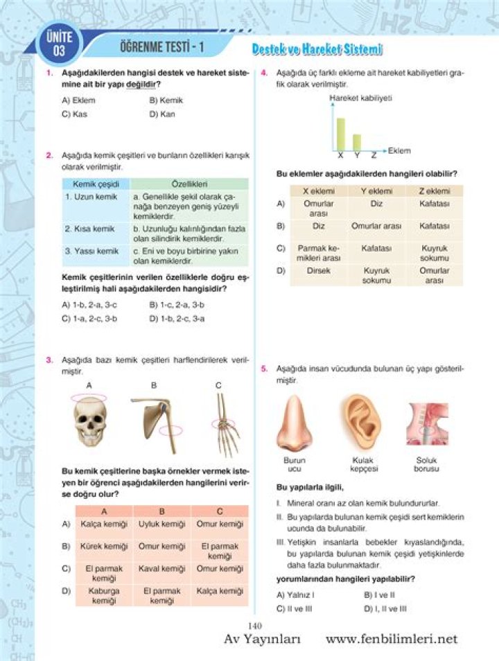 11 SANÇIF Biyoloji Destek ve Hareket Sistemi Test PDF