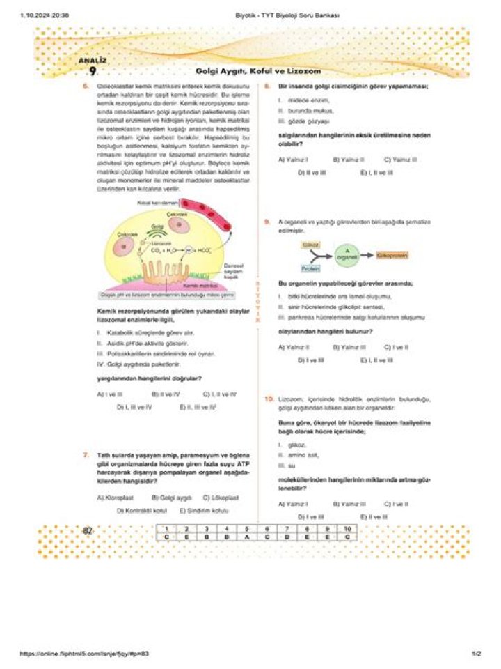 11. Sınıf Biyoloji Hormonlar Test PDF – Özel Kısım Hormon Analizi