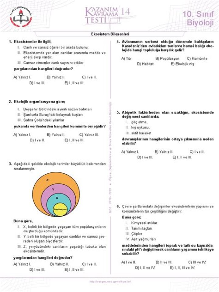 11 Sınıf Biyoloji Test PDF İçin Örnek Teyi