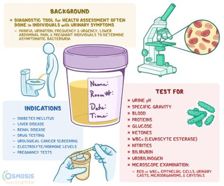 11 SÄ±nıf Dil Anlatım Test Soruları PDF Testi