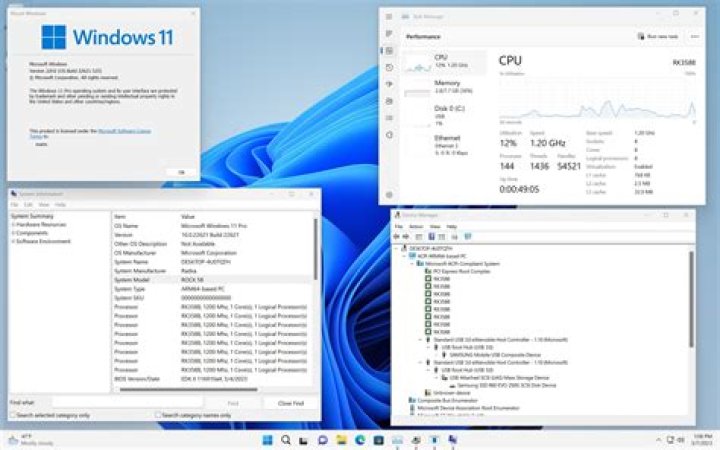 11. SÄ±nıf Eğitsizlikler Test PDF – Üzrİ ve Giải Çıkış