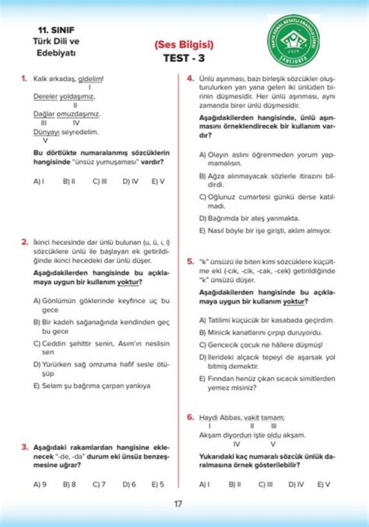 11. Sınıf Ses Bilgisi Test PDF Download – Official Exam Sample