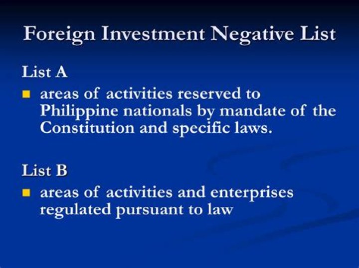 11th Foreign Investment Negative List Philippines PDF – Key Details & Regulations