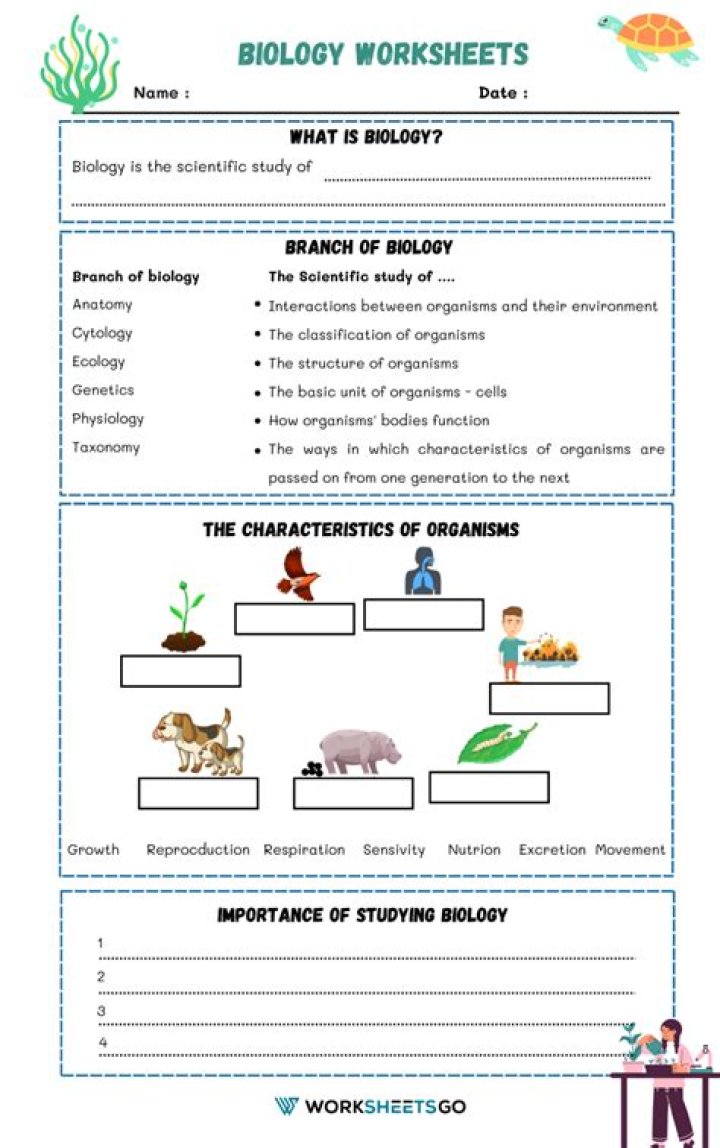 11th Grade Biology Worksheets PDF – Free Printable Study Guides