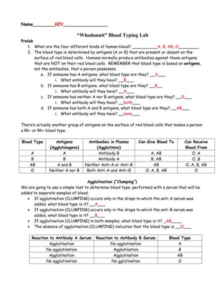 How to Identify Blood Diseases: 12-1 Worksheet Answers PDF