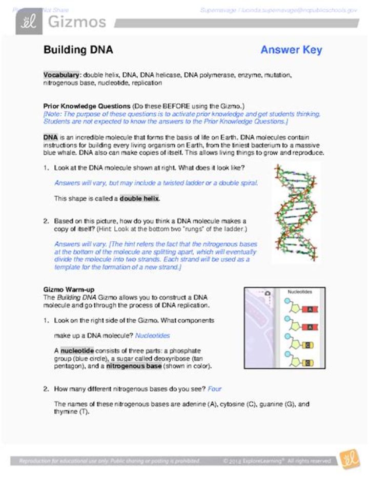 12.2 Structure of DNA Answer Key PDF with Answers