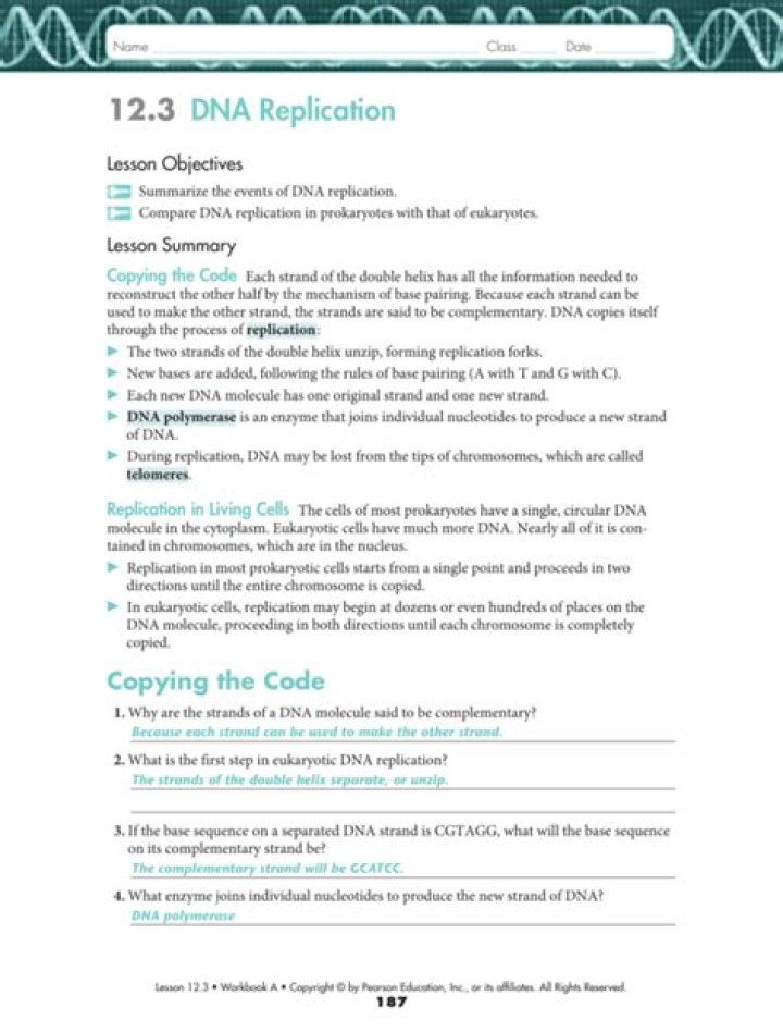 12.3 DNA Replication Answer Key PDF – Free Study Resource