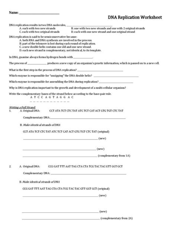 12.3 DNA Replication Worksheet Answer Key PDF – Step-by-Step Solutions