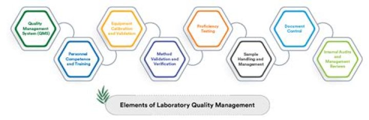 12 Essential Pillars of Laboratory Quality Management System PDF