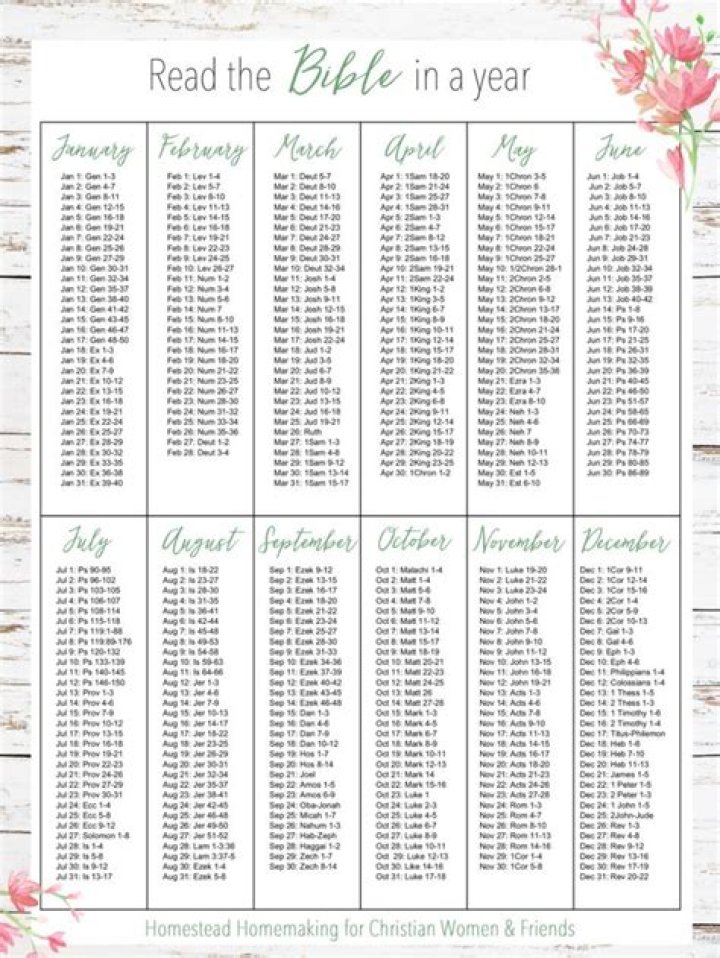 12-Month Bible Reading Plan PDF – Daily Spiritual Growth