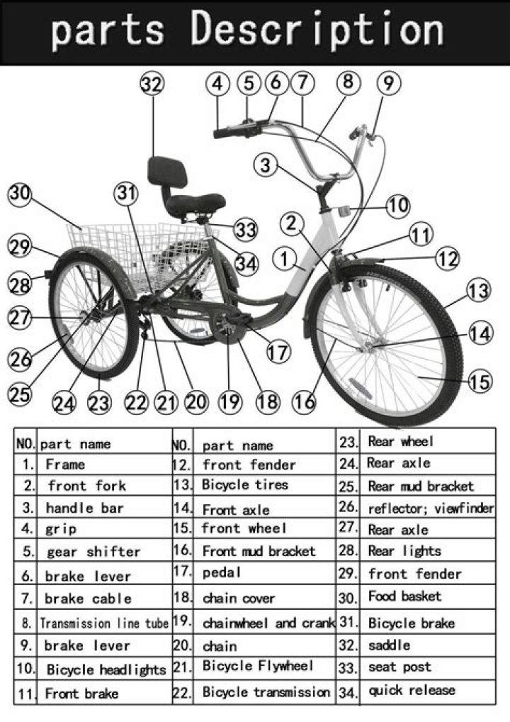 12 Schwinn Roadster Trike Parts List PDF – Full Repair Guide
