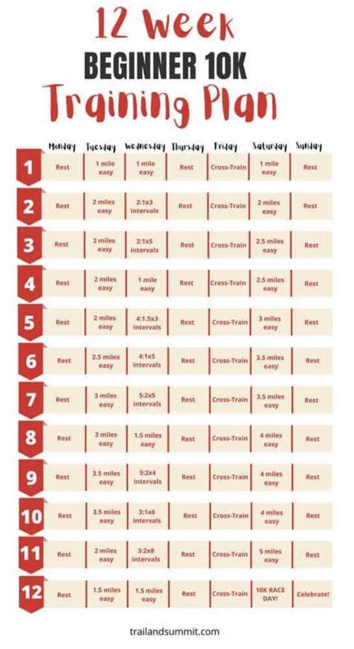 12-Week 10K Training Plan for Beginners – PDF Workbook