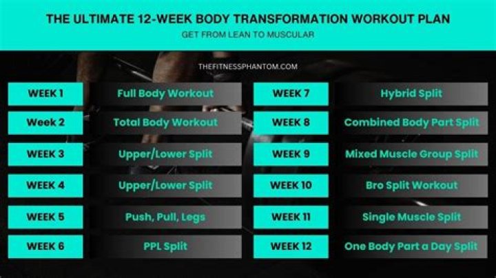 12-Week Male Body Transformation Workout Plan PDF