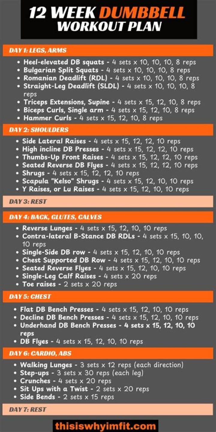 12-Week Dumbbell Workout Plan PDF for Women – Full PDF Guide