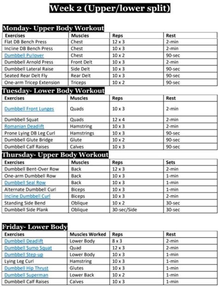12-Week Gym Plan PDF: Get Strong in Just 12 Weeks